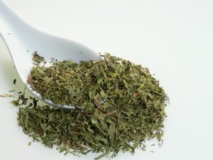 Poudre de stevia rebaudiana