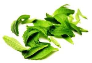 Feuilles de stevia biologique