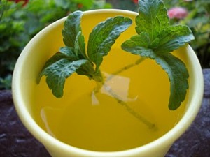 Fraîche ou en pastilles la stevia est une bonne alternative au sucre